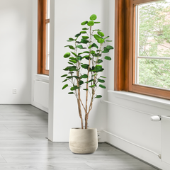 SOGA 180cm Plastic Potted Polyscias Scutellaria Plant Home Garden Artificial Tree, Home Decor
