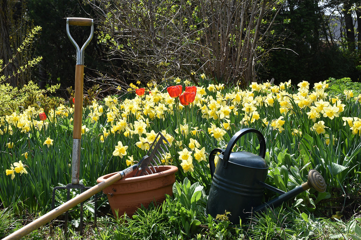 Garden Accessories and Tools