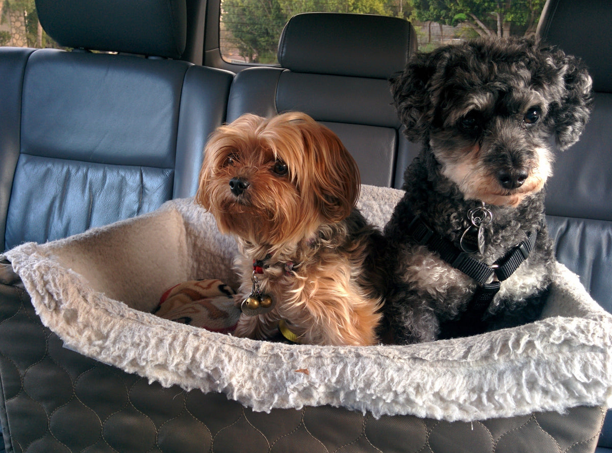 Pet Car Seats