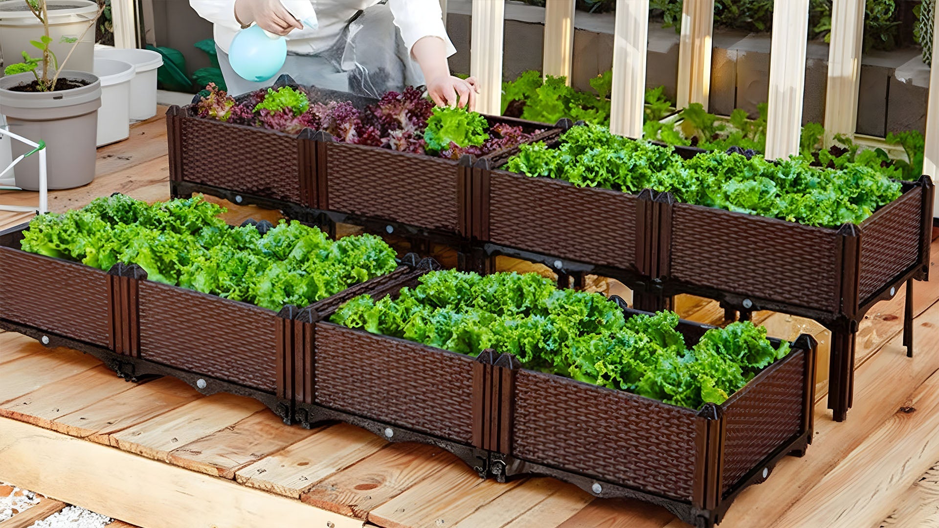 SOGA Plant Care, Box & Accessories