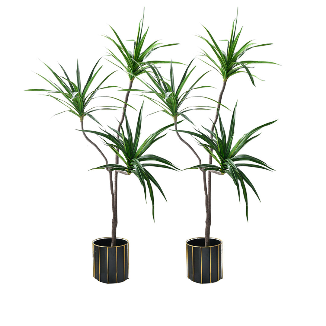 SOGA 2X 180cm Green Artificial Indoor Brazlian Iron Tree Fake Plant Decorative 3 Heads $ 366.90