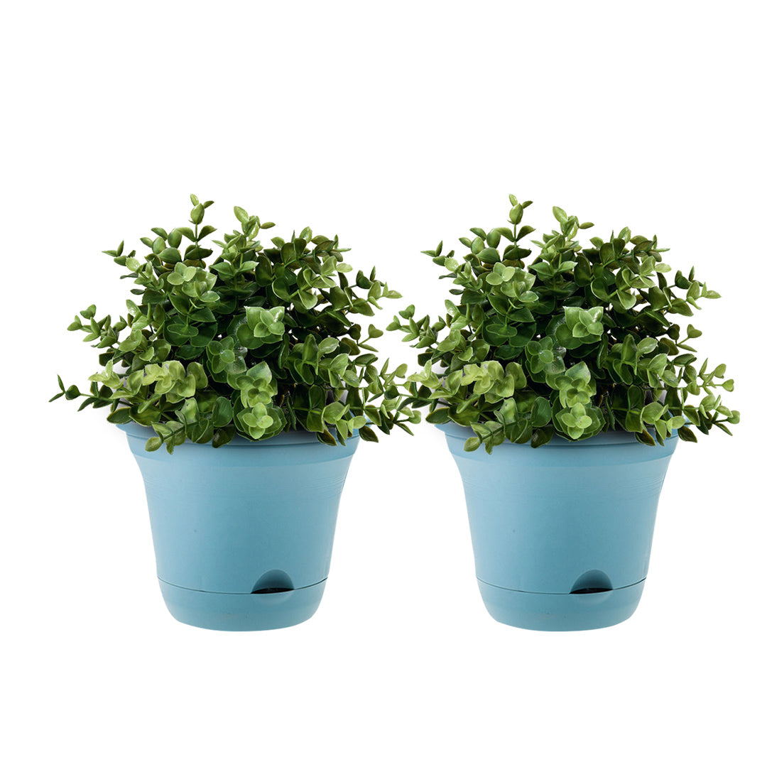 SOGA 19.5cm Blue Plastic Plant Pot Self Watering Planter Flower Bonsai Indoor Outdoor Garden Decor Set of 2 $ 33.50