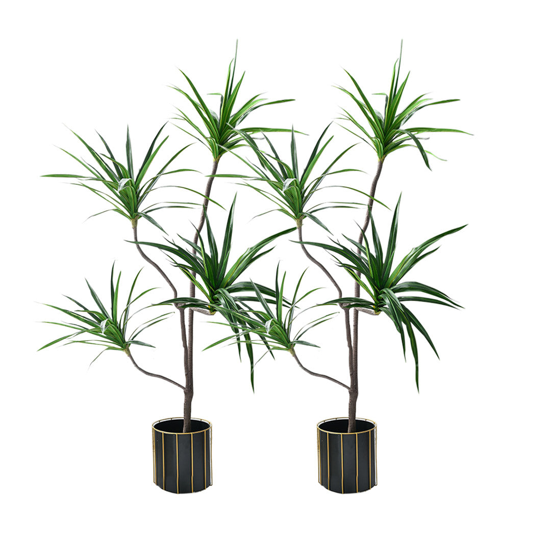 SOGA 2X 180cm Realistic Artificial Dracaena, Rubberised Silk Cloth + Iron Wire, Home Decor $ 409.50