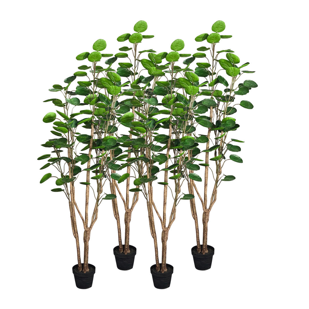 SOGA 4X 180cm Plastic Potted Polyscias Scutellaria Plant Home Garden Artificial Tree, Home Decor $ 1097.90