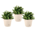 SOGA 19.5cm Plastic Plant Pot Self Watering Planter Flower Bonsai Indoor Outdoor Garden Decor Set of 3 $ 43.50