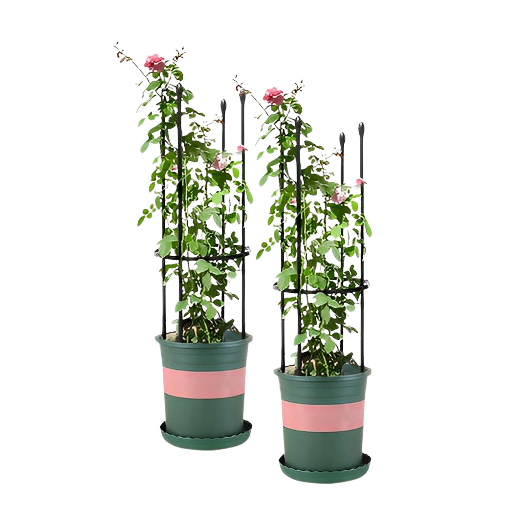 SOGA 2X 73cm 4-Bar Plant Frame Stand Trellis Vegetable Flower Herbs Outdoor Vine Support Garden Rack with Rings $ 53.90