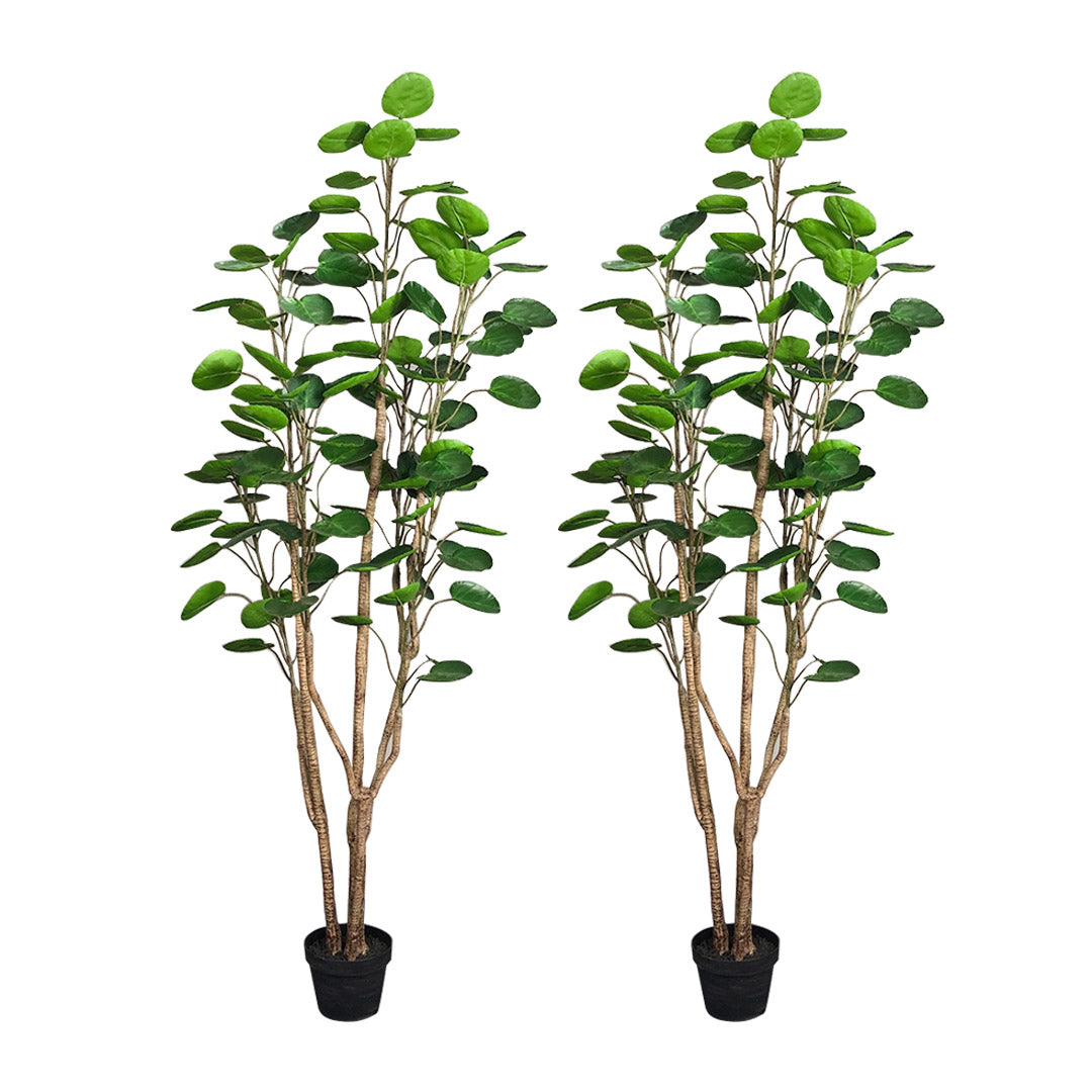 SOGA 2X 180cm Plastic Potted Polyscias Scutellaria Plant Home Garden Artificial Tree, Home Decor $ 560.90