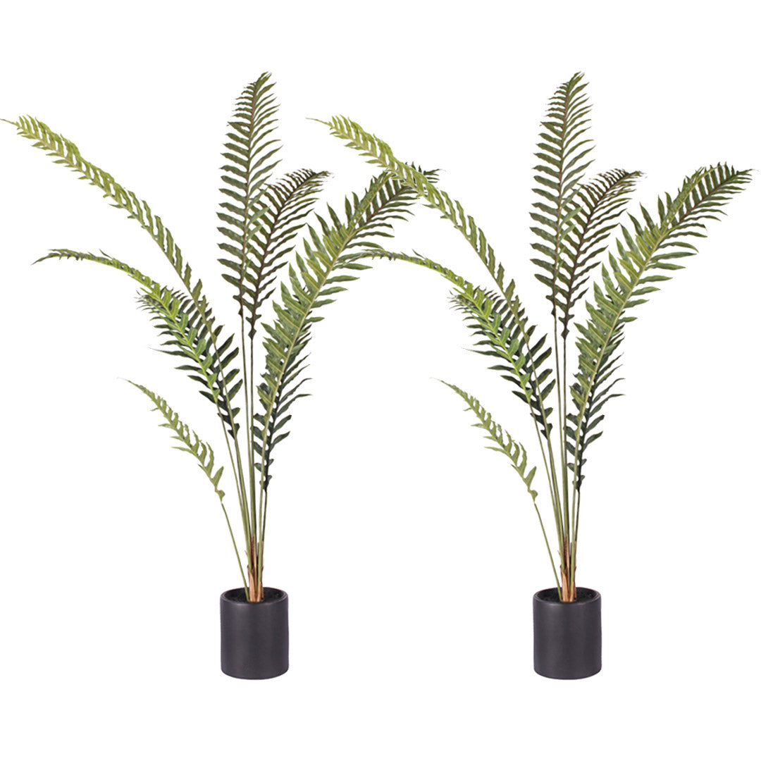 SOGA 2X 180cm Artificial Green Rogue Hares Foot Fern Tree Fake Tropical Indoor Plant Home Office Decor $ 323.50