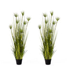 SOGA 2X 150cm Cyperus Papyrus Plant Tree Artificial Green Grass, Home Or Office Indoor Greenery Accent $ 388.50