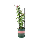 SOGA 73cm 4-Bar Plant Frame Stand Trellis Vegetable Flower Herbs Outdoor Vine Support Garden Rack with Rings $ 27.90