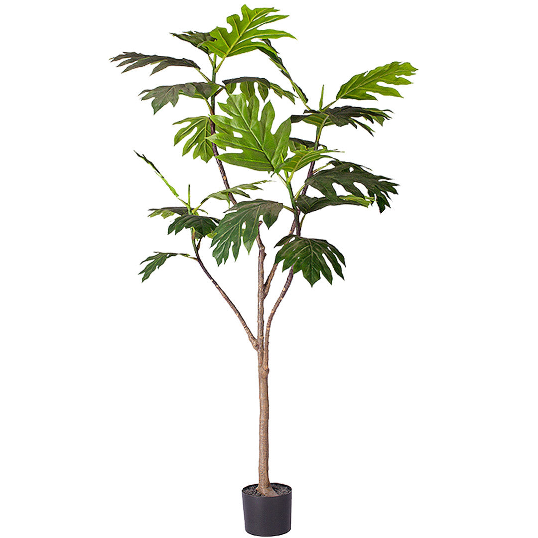 SOGA 180cm Artificial Natural Green Split-Leaf Philodendron Tree Fake Tropical Indoor Plant Home Office Decor $ 222.50