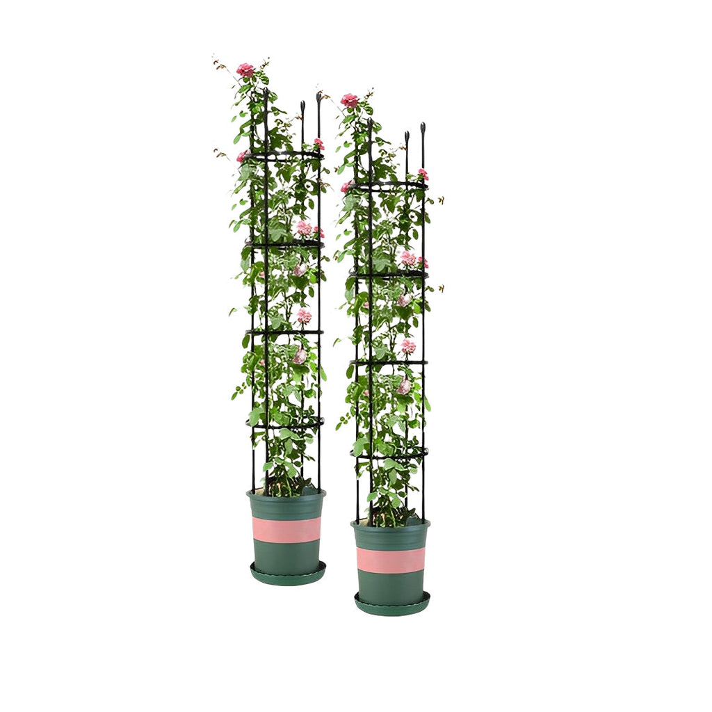 SOGA 2X 163cm 4-Bar Plant Frame Stand Trellis Vegetable Flower Herbs Outdoor Vine Support Garden Rack with Rings $ 101.50