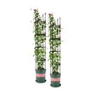 SOGA 2X 163cm 4-Bar Plant Frame Stand Trellis Vegetable Flower Herbs Outdoor Vine Support Garden Rack with Rings $ 101.50