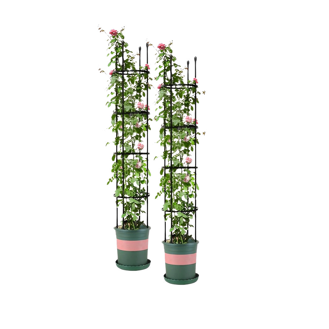 SOGA 2X 163cm 4-Bar Plant Frame Stand Trellis Vegetable Flower Herbs Outdoor Vine Support Garden Rack with Rings $ 101.50