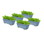 SOGA 49.5cm Blue Rectangular Planter Vegetable Herb Flower Outdoor Plastic Box with Holder Balcony Garden Decor Set of 5 $ 103.90
