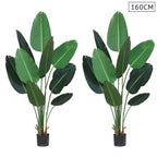 SOGA 2X 160cm Artificial Green Indoor Traveler Banana Fake Decoration Tree Flower Pot Plant $ 280.90