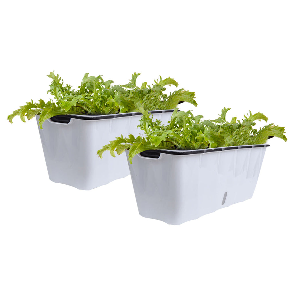 SOGA 2X Large White Rectangular Flowerpot Vegetable Herb Flower Outdoor Plastic Box Garden Decor $ 46.90