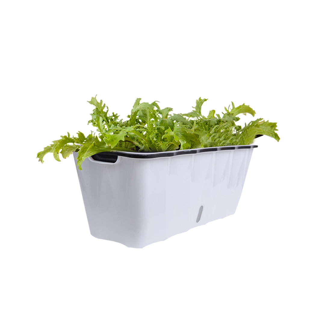 SOGA 50cm Large White Rectangular Flowerpot Vegetable Herb Flower Outdoor Plastic Box Garden Decor $ 33.50
