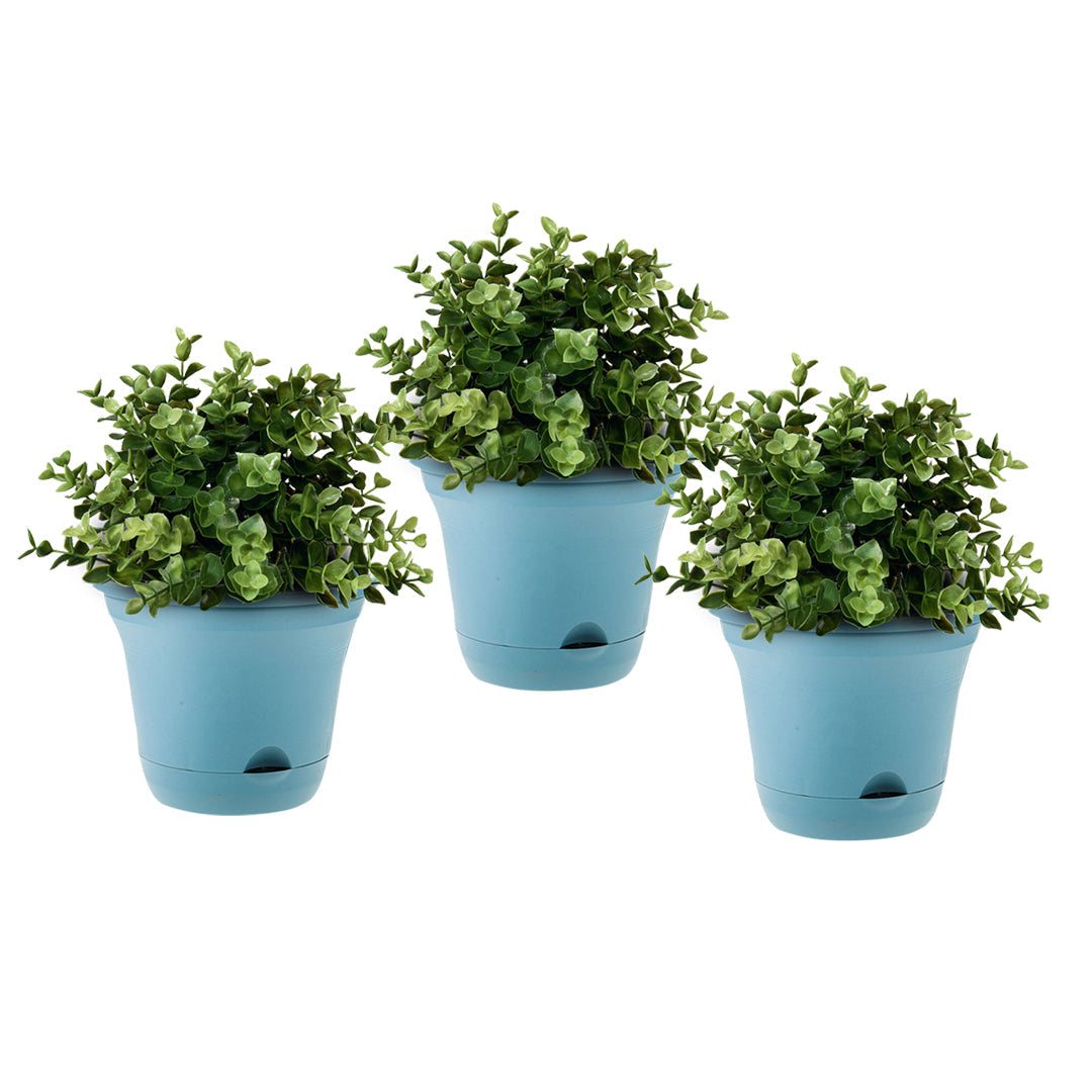 SOGA 19.5cm Blue Plastic Plant Pot Self Watering Planter Flower Bonsai Indoor Outdoor Garden Decor Set of 3 $ 43.50