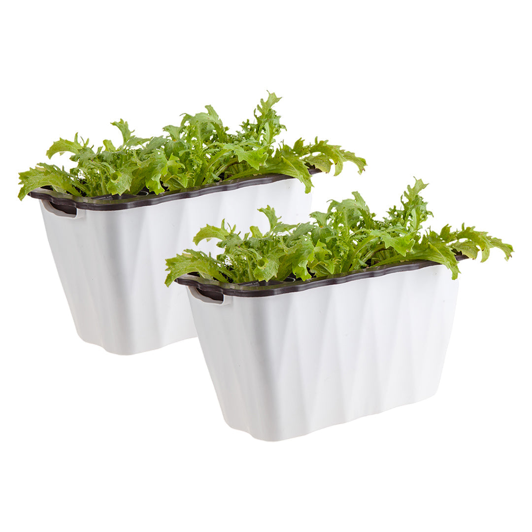 SOGA 2X 35cm Small White Rectangular Flowerpot Vegetable Herb Flower Outdoor Plastic Box Garden Decor $ 43.50
