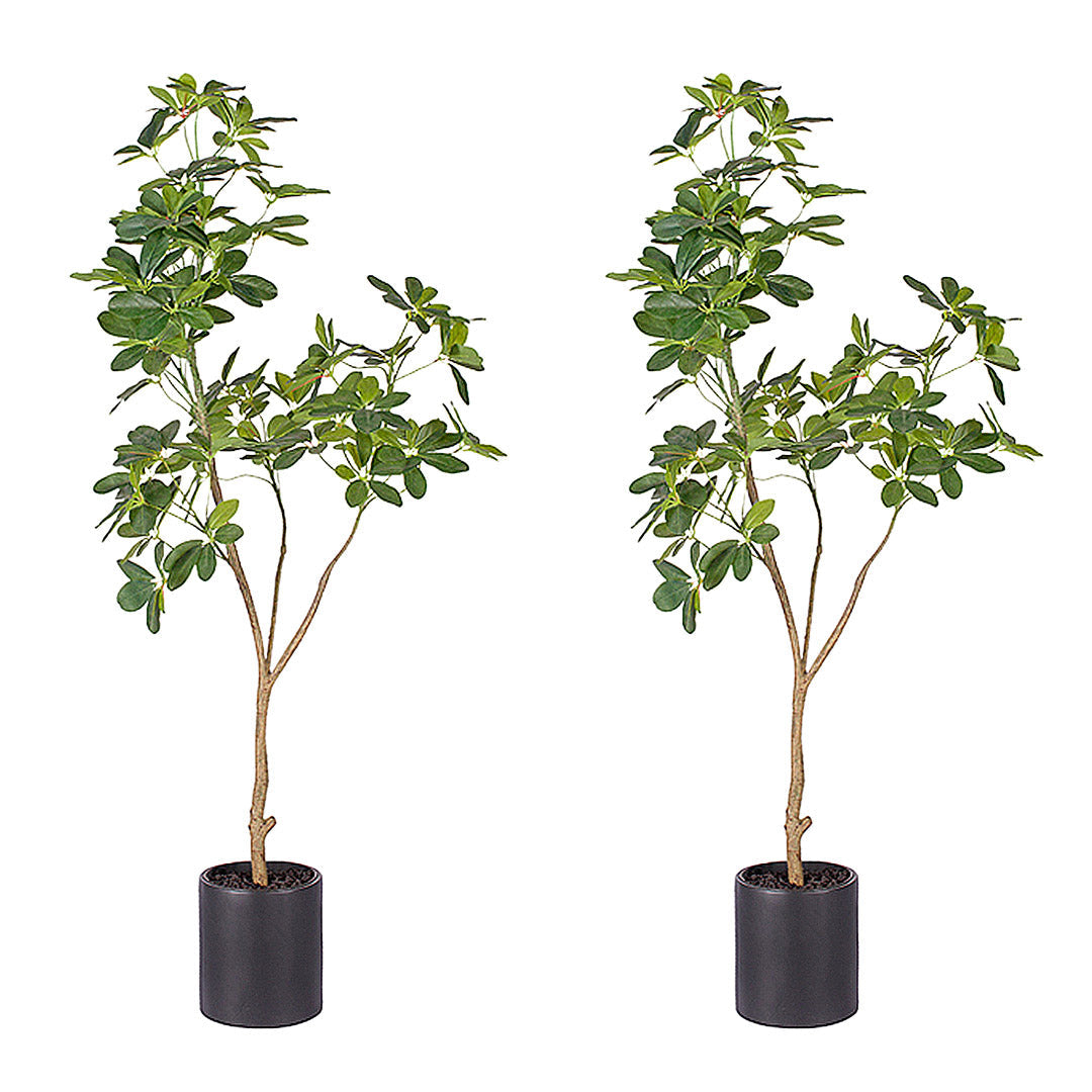 SOGA 2X 160cm Artificial Natural Green Schefflera Dwarf Umbrella Tree Fake Tropical Indoor Plant Home Office Decor $ 323.50