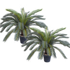 SOGA 2X 155cm Artificial Indoor Cycas Revoluta Cycad Sago Palm Fake Decoration Tree Pot Plant $ 862.50