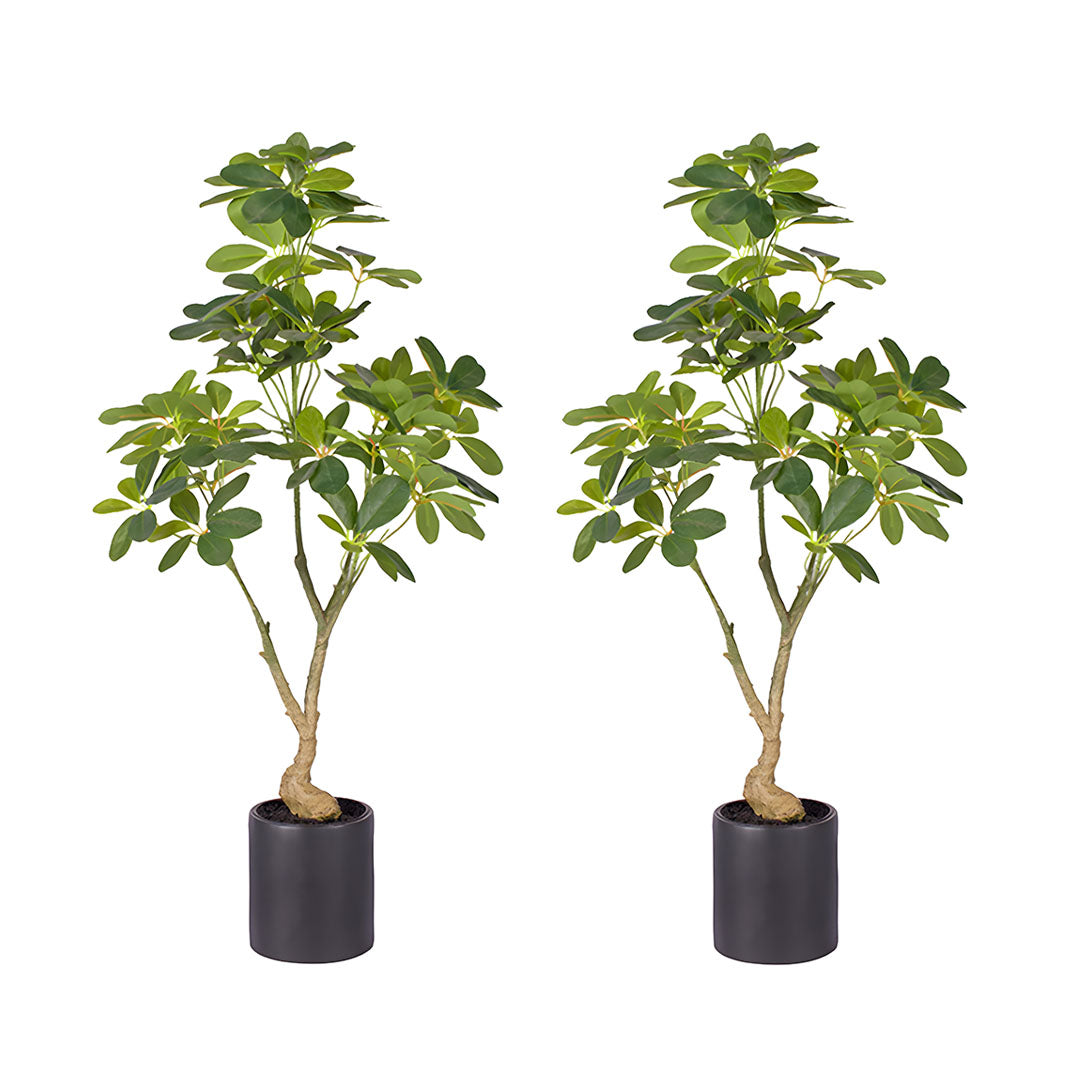 SOGA 2X 80cm Artificial Schefflera Tree – Realistic Indoor Greenery $ 193.90