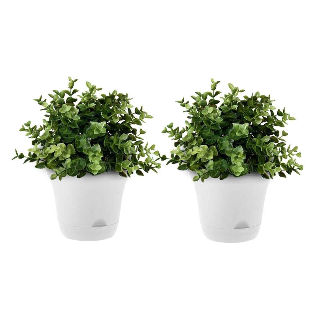 SOGA 19.5cm White Plastic Plant Pot Self Watering Planter Flower Bonsai Indoor Outdoor Garden Decor Set of 2 $ 33.50