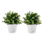 SOGA 19.5cm White Plastic Plant Pot Self Watering Planter Flower Bonsai Indoor Outdoor Garden Decor Set of 2 $ 33.50