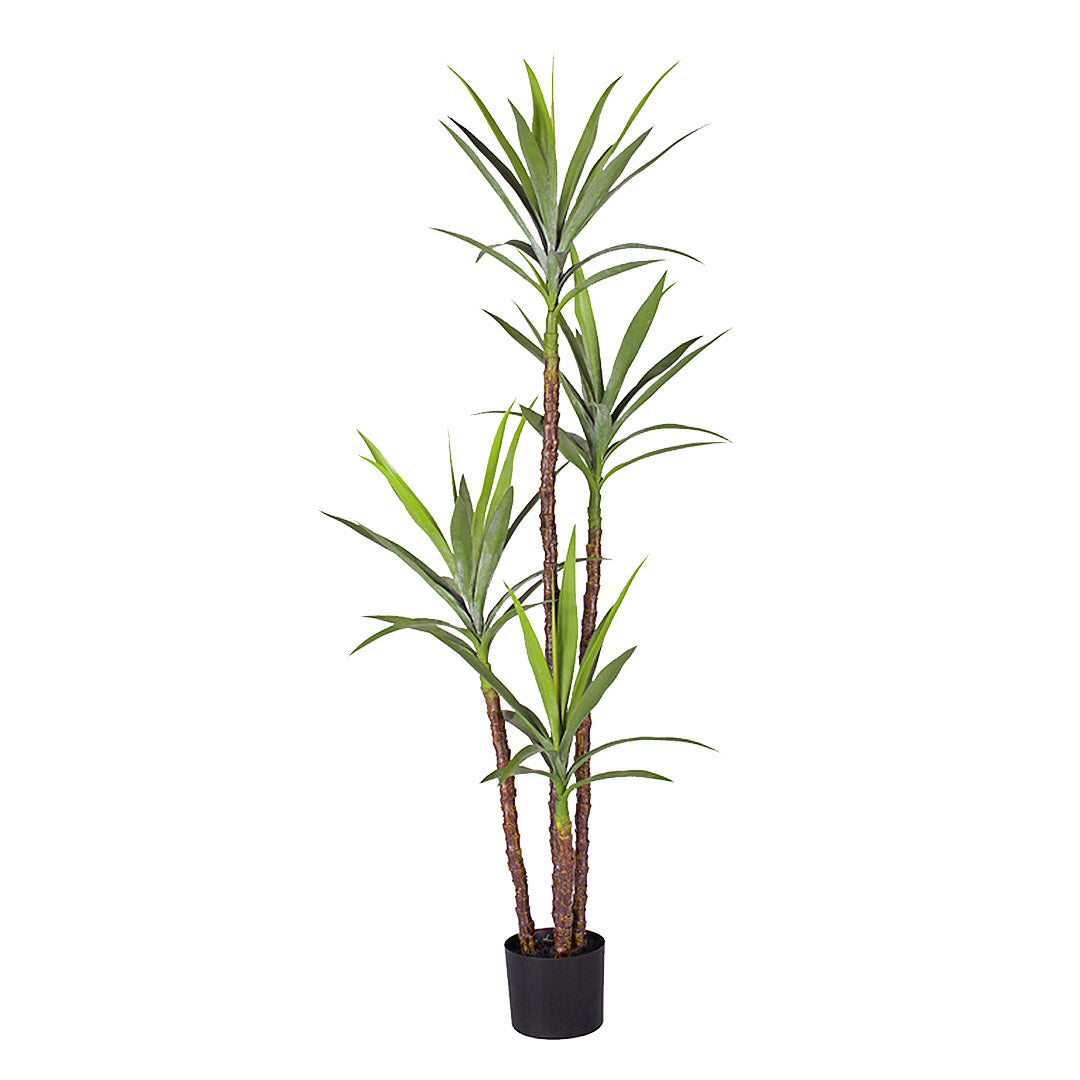 SOGA 180cm Artificial Natural Green Dracaena Yucca Tree Fake Tropical Indoor Plant Home Office Decor $ 199.90