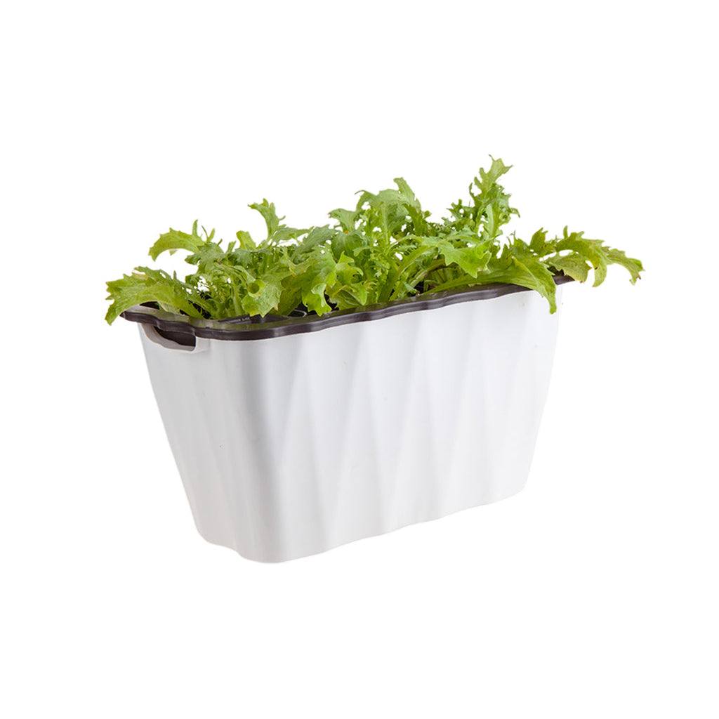 SOGA 35cm Small White Rectangular Flowerpot Vegetable Herb Flower Outdoor Plastic Box Garden Decor $ 29.90