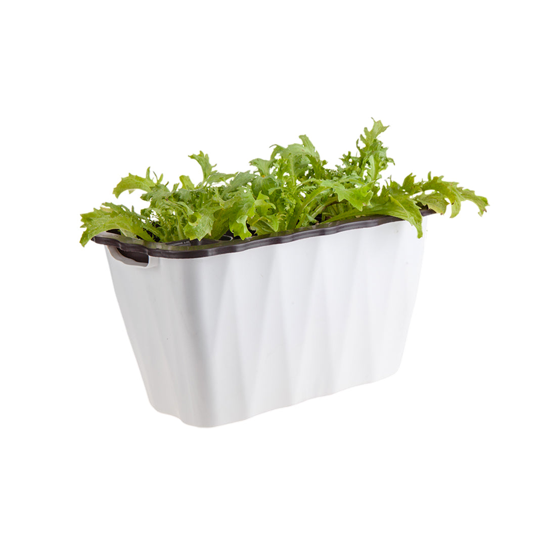 SOGA 35cm Small White Rectangular Flowerpot Vegetable Herb Flower Outdoor Plastic Box Garden Decor $ 29.90