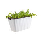 SOGA 35cm Small White Rectangular Flowerpot Vegetable Herb Flower Outdoor Plastic Box Garden Decor $ 29.90