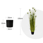 SOGA 2X 150cm Cyperus Papyrus Plant Tree Artificial Green Grass, Home Or Office Indoor Greenery Accent