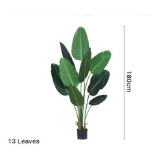 SOGA 180cm Green Artificial Bird of Paradise Plants Fake Tropical Palm Tree with 10 in Pot and Woven Seagrass Belly, Home Decor