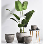 SOGA 2X 32cm Rock Grey Round Resin Plant Flower Pot in Cement Pattern Planter Cachepot for Indoor Home Office