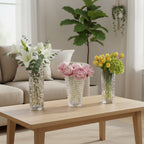 SOGA Home & Living Bundle – Handcrafted Clear Glass Vases for Elegant Home Décor