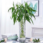 SOGA 30cm Sleek Clear Glass Vase Elegant Wide Crystal Design for Modern Home Décor