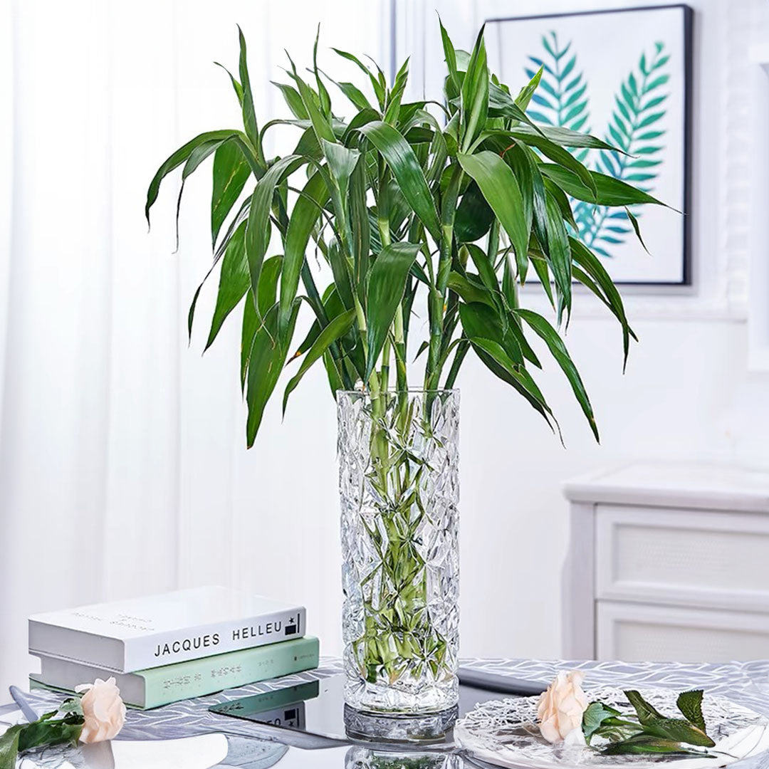 SOGA 30cm Sleek Clear Glass Vase Elegant Wide Crystal Design for Modern Home Décor