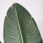 SOGA 4X 120cm Artificial Green Indoor Traveler Banana Fake Decoration Tree Flower Pot Plant