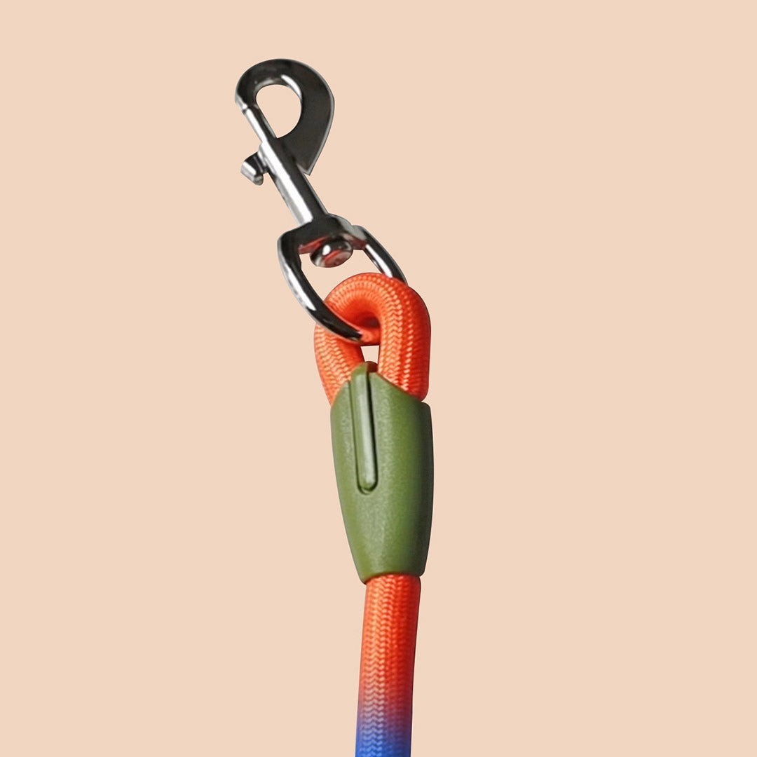 SOGA 2X 220cm Multifunction Hands-Free Rope Pet Cat Dog Puppy Double Ended Leash for Walking Training Tracking Obedience Rainbow