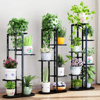 SOGA 2X 5 Tier 6 Pots Black Metal Plant Rack Flowerpot Storage Display Stand Holder Home Garden Decor