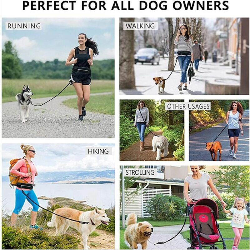 SOGA 2X Black Adjustable Hands-Free Pet Leash Bag Dog Lead Walking Running Jogging Pet Essentials