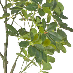 SOGA 2X 80cm Artificial Schefflera Tree – Realistic Indoor Greenery