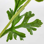 SOGA 12pcs Artificial Silk Flower Fake Rose Bouquet Table Decor Blue