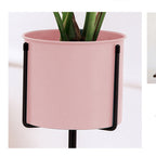 SOGA 2X 80cm Tripod Flower Pot Plant Stand with Pink Flowerpot Holder Rack Indoor Display