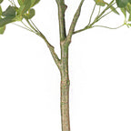SOGA 80cm Artificial Schefflera Tree – Realistic Indoor Greenery