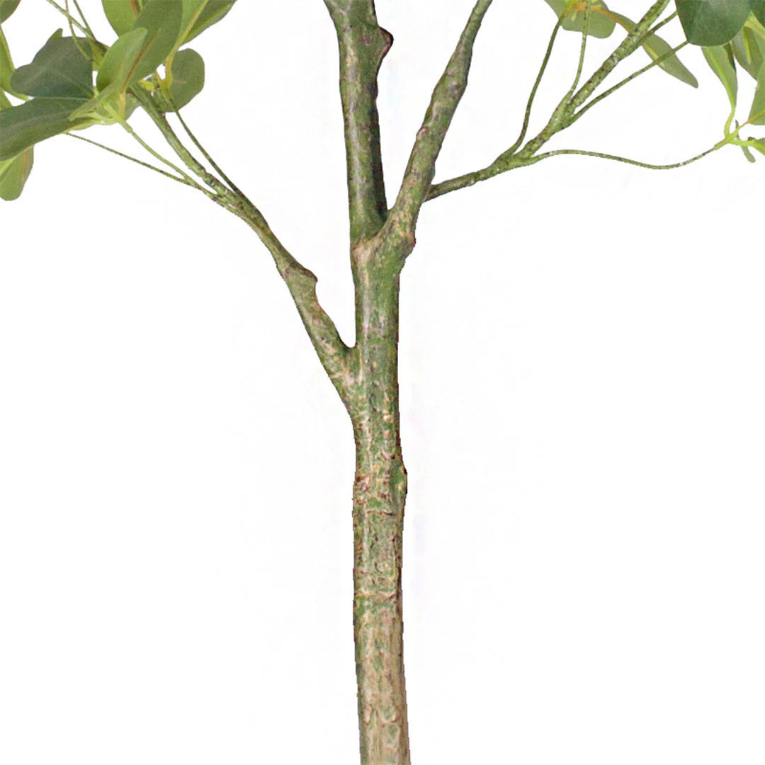 SOGA 80cm Artificial Schefflera Tree – Realistic Indoor Greenery