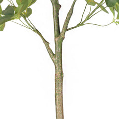 SOGA 2X 80cm Artificial Schefflera Tree – Realistic Indoor Greenery