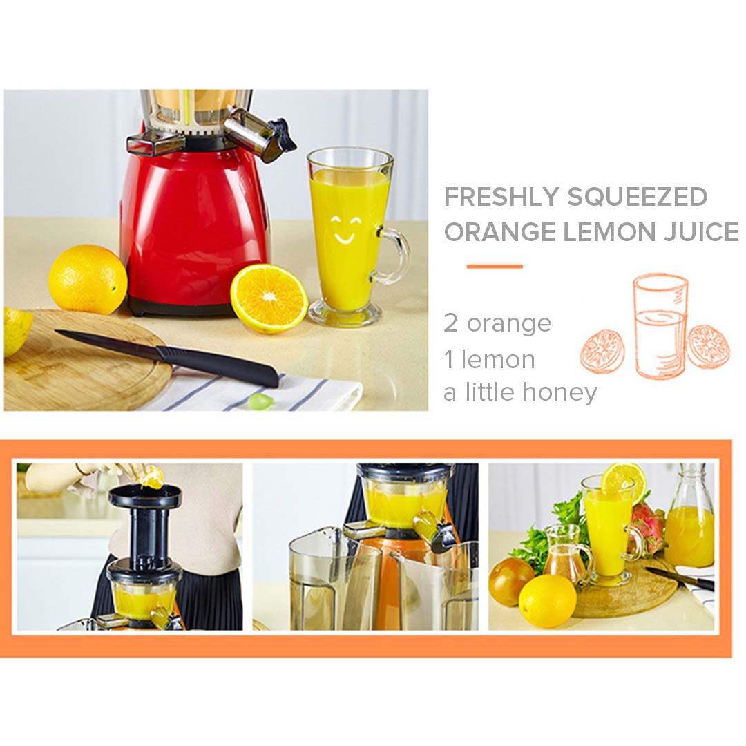 SOGA Cold Press Slow Juicer Fruit Vegetable Processor Juice Extractor Green